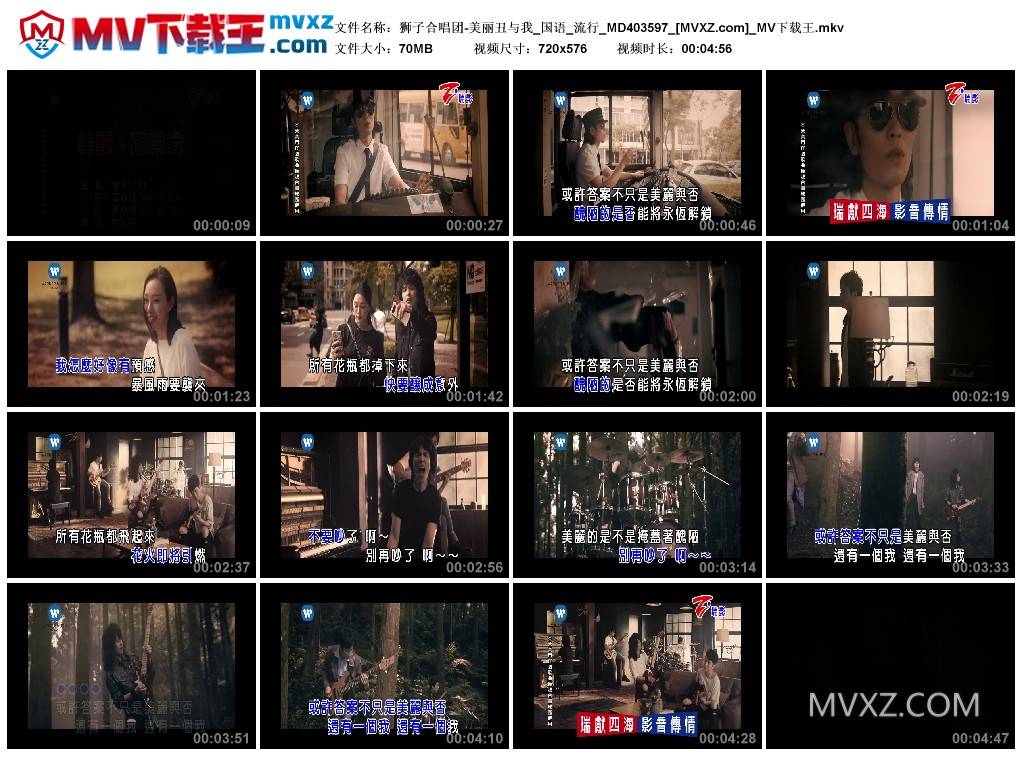 狮子合唱团-美丽丑与我_国语_流行_MD403597